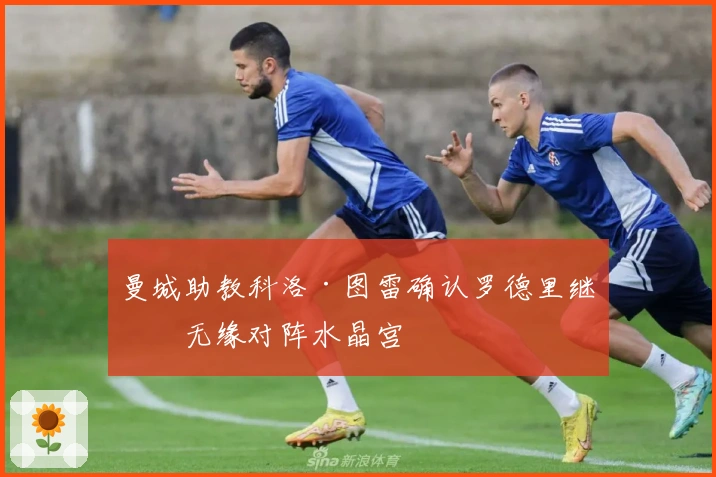 曼城助教科洛·图雷确认罗德里继续无缘对阵水晶宫