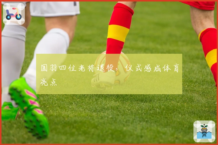 国羽四位老将退役，仪式感成体育亮点